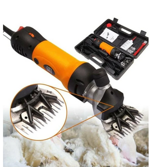 Screenshot 2025-02-18 124806