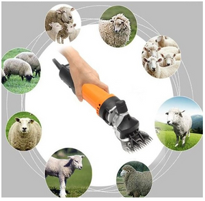 Screenshot 2025-02-18 124811