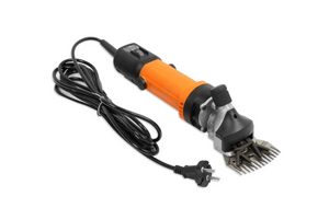 Screenshot 2025-02-18 125106