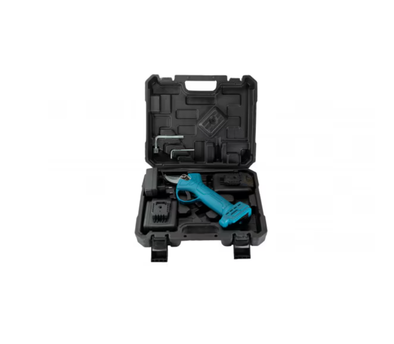 Screenshot 2025-02-25 113706
