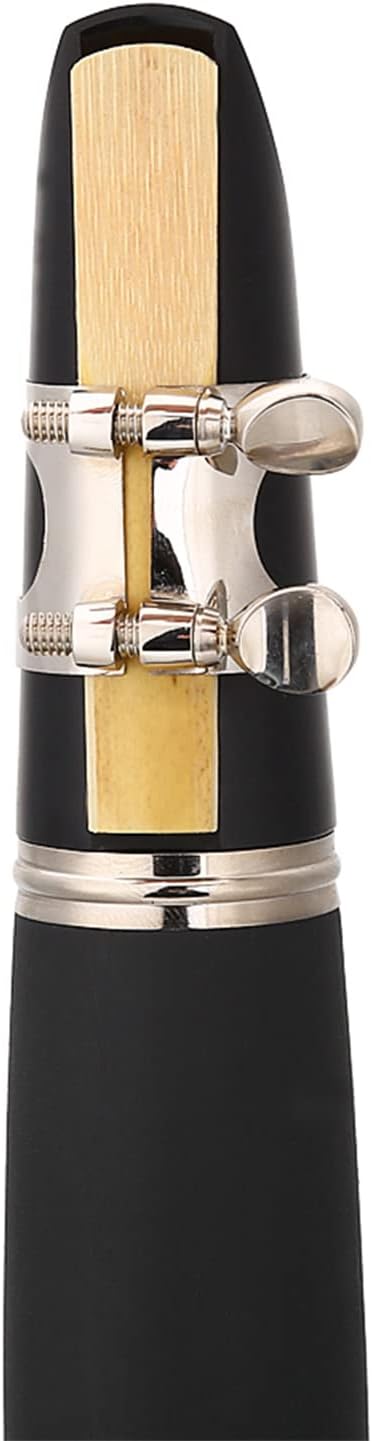 sfw22